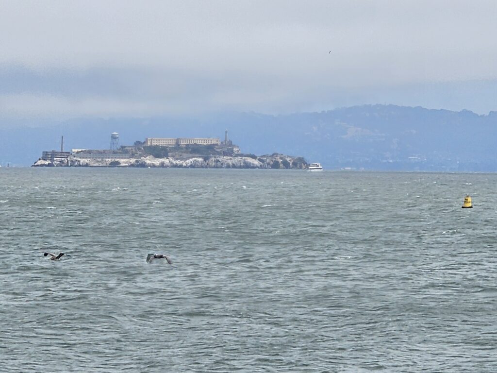 Alcatraz Island