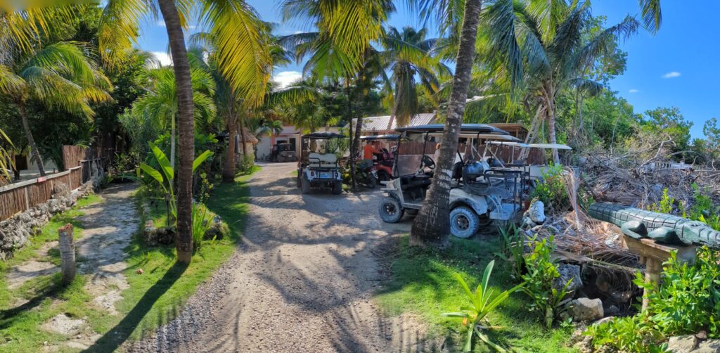 Golf carts in a tropical setting